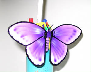 Lifesizebutterfly.JPG